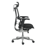 Ергономичен стол Ergohuman IOO Elite 2 - Черен/Черен