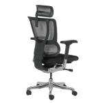 Ергономичен стол Ergohuman IOO Elite 2 - Черен/Черен