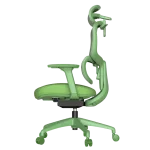 Ергономичен стол Carmen Julfa - Зелен