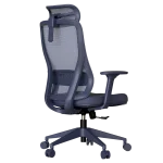 Ергономичен стол Carmen Masali - Син