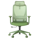 Ергономичен стол Carmen Masali - Зелен