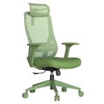 Ергономичен стол Carmen Masali - Зелен