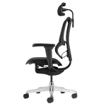 Ергономичен стол Ergohuman IOO Ultra - Черен