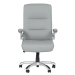 Президентски стол Carmen 6106 - Сив