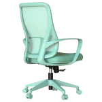 Работен стол Carmen Barda - Светлозелен