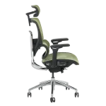 Ергономичен стол Calgary - Зелен