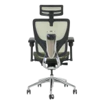 Ергономичен стол Calgary - Зелен