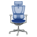 Ергономичен стол Ergohuman IOO Ultra - Син